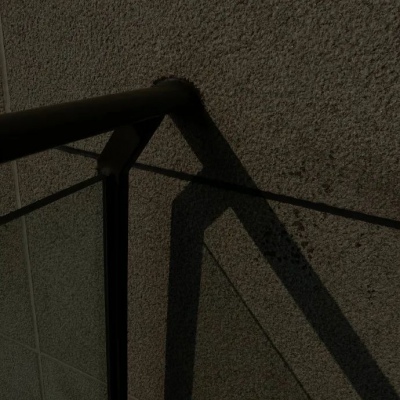 兽设写实风格绘画福瑞群